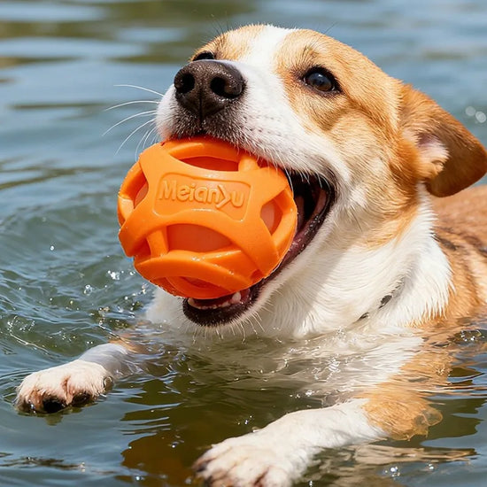 Bite-Resistant Silicone Chew Ball | Hollow Elastic Training & Play Toy for Dogs